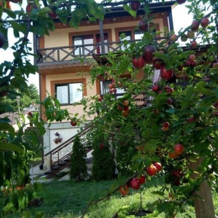 Загородный отель Country House on Matsesta в Сочи, Краснодарский край, цены от 910 руб. с услугой рыбалки | Забронировать турбазу