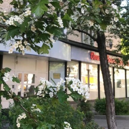 Отель Варшавка Инн 3*, Москва, цены от 3240 руб. |